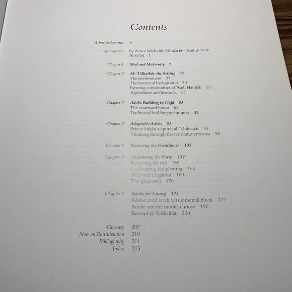 Back to Earth, Adobe Building In Saudi Arabia - by William Facey - Picture 8 of 13